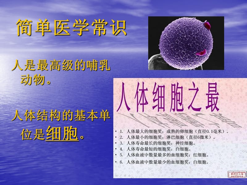 医学急救常识-精选文档.ppt_第1页