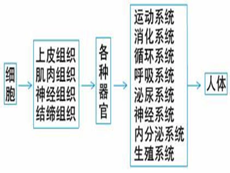 医学急救常识-精选文档.ppt_第2页