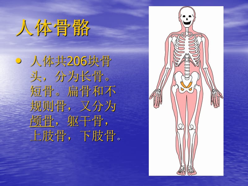 医学急救常识-精选文档.ppt_第3页