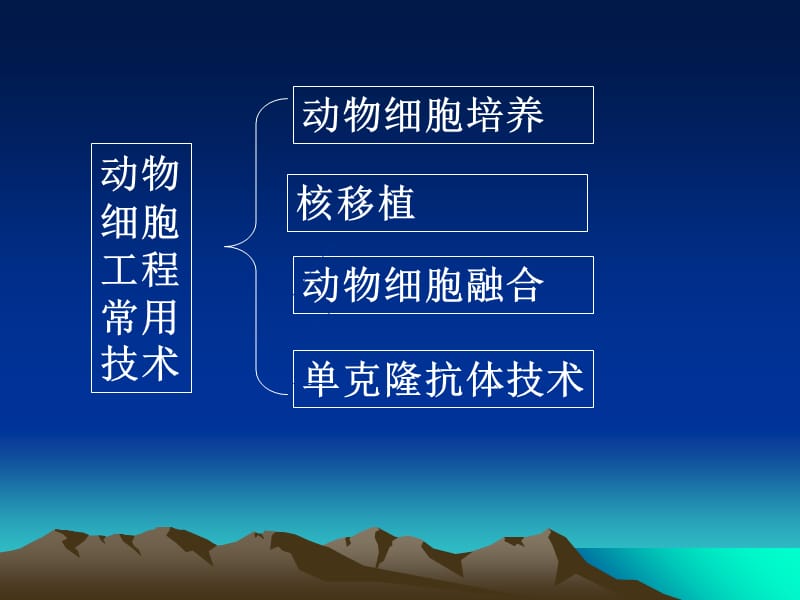 221动物细胞培养和核移植技术-PPT文档资料.ppt_第2页