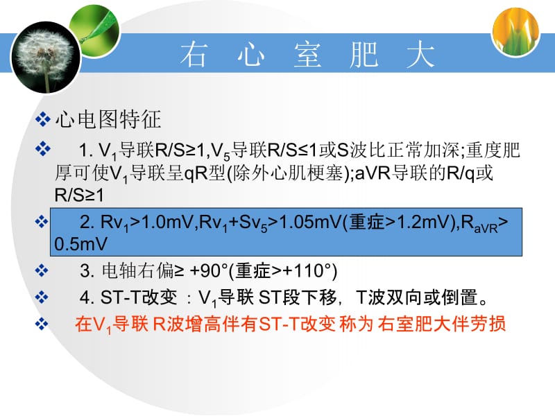 右心室肥大-文档资料.ppt_第2页