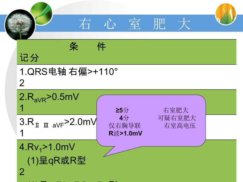 右心室肥大-文档资料.ppt_第3页