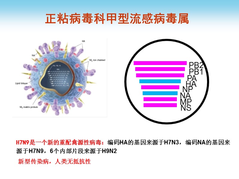 2018年人感染h7n9禽流感诊疗方案及接诊流程-文档资料.pptx_第2页