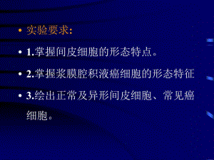 最新4浆膜腔积液脱落细胞学形态-PPT文档-PPT文档.ppt