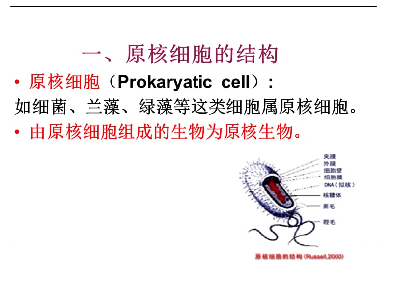 2018年第二章遗传的细胞学基础学-文档资料.ppt_第2页