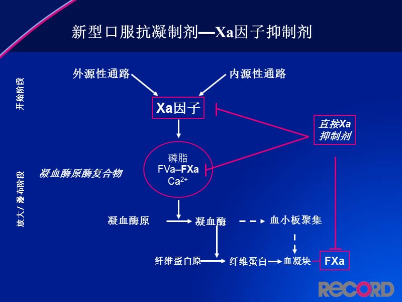 2018年利伐沙班预防全髋或全膝关节置换术后静脉血栓栓塞事件-文档资料.ppt_第3页