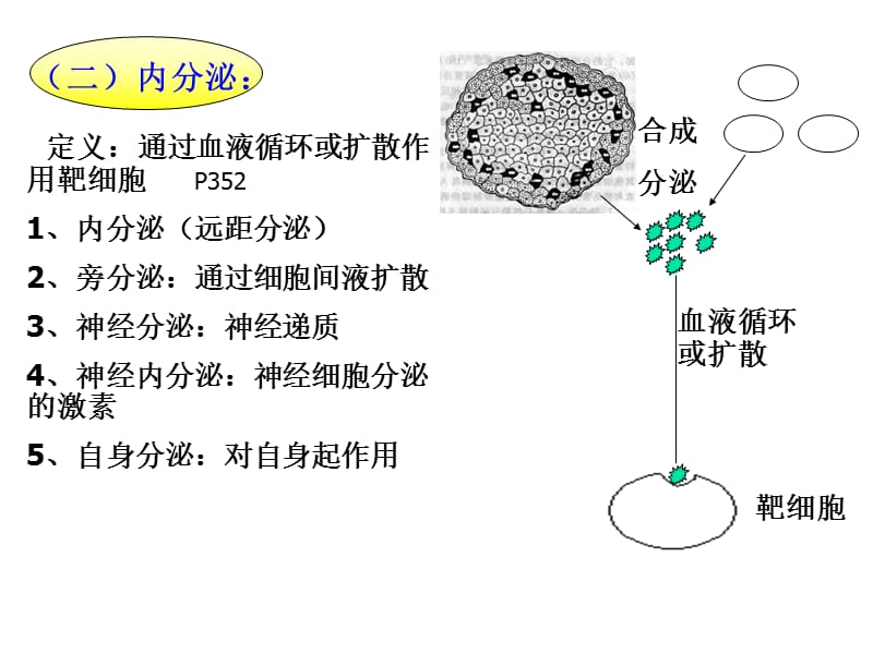 2018年第十章内分泌-文档资料.ppt_第2页