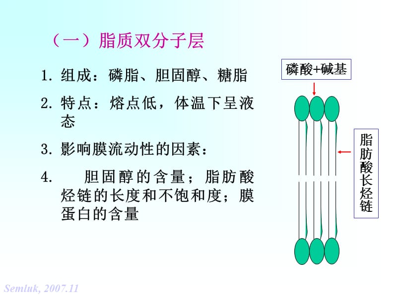 2018年第二章细胞的基本功能2-文档资料.ppt_第3页