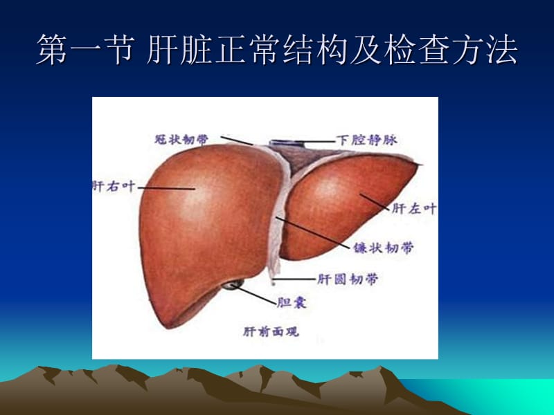 2018年第八章肝脏-文档资料.ppt_第2页