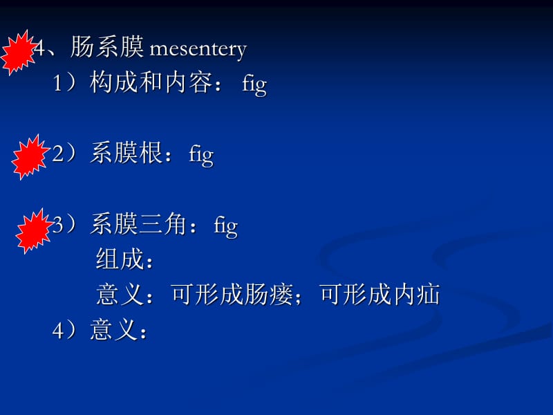 2018年局部解剖教案第五节结肠下区-文档资料.ppt_第2页