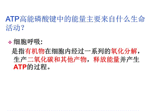 最新atp的主要来源细胞呼吸-PPT文档-PPT文档.ppt