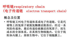 25细胞呼吸2-PPT文档资料.ppt