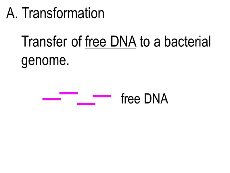 2018年microbial-genetics3细菌和放线菌的基因重组和遗传分析-文档资料.ppt_第3页