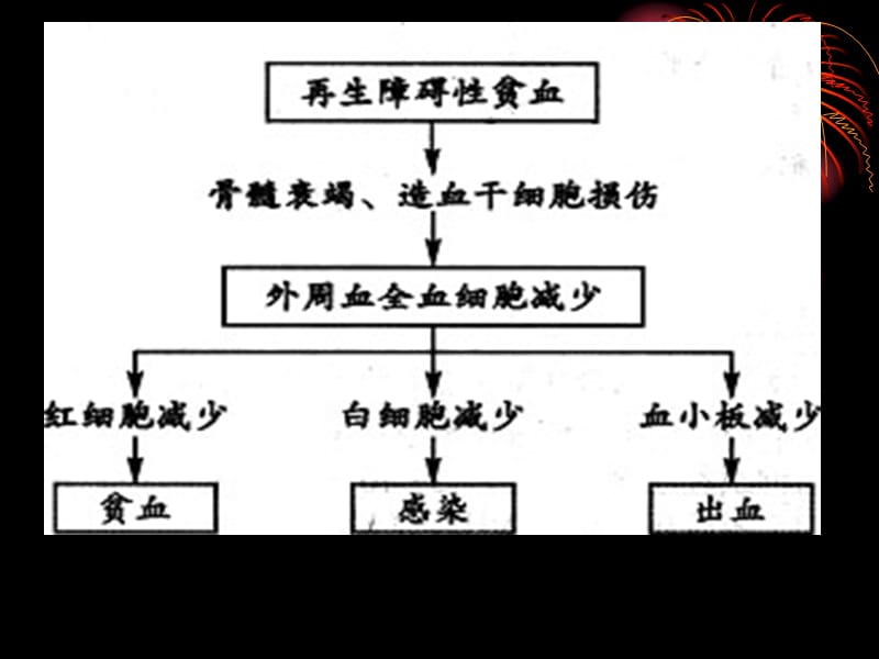 再生障碍性贫血病人护理常规-PPT文档.ppt_第2页