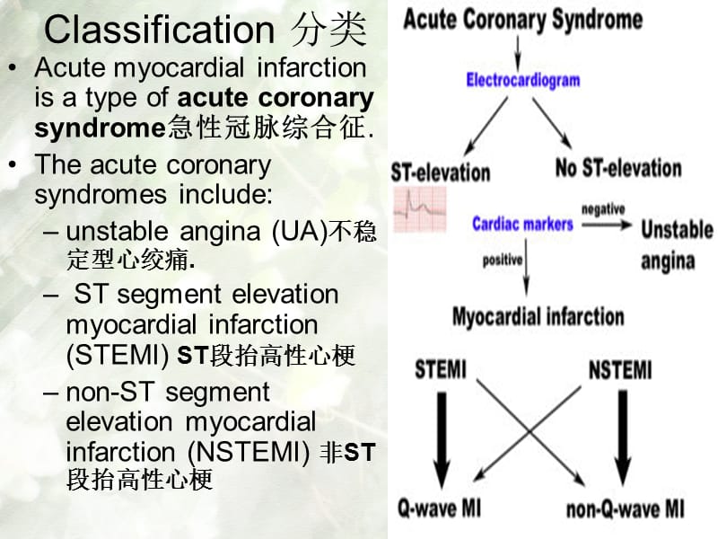 内科护理学课件 英语 考试资料myocardial+infarction-文档资料.ppt_第2页