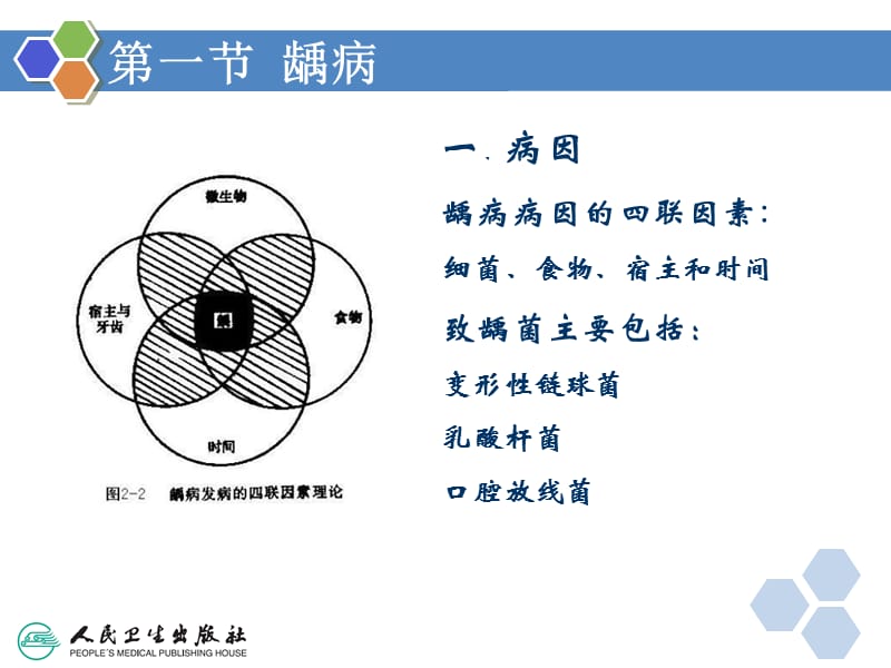 2018年牙体牙周组织疾病课件-文档资料.ppt_第3页