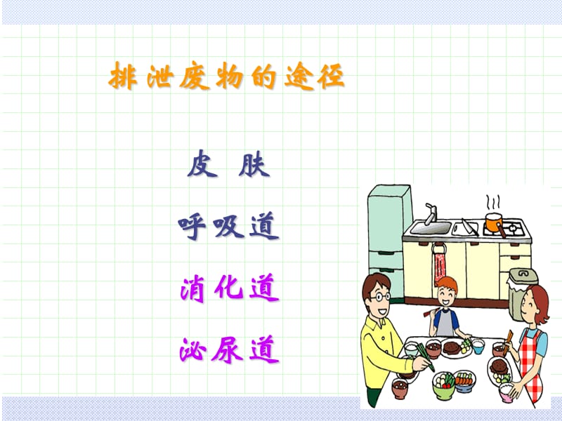 护理学基础第11章—排泄的护理-文档资料.ppt_第2页