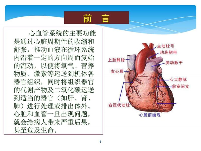 心血管疾病的生物化学诊断-精选文档.ppt_第2页