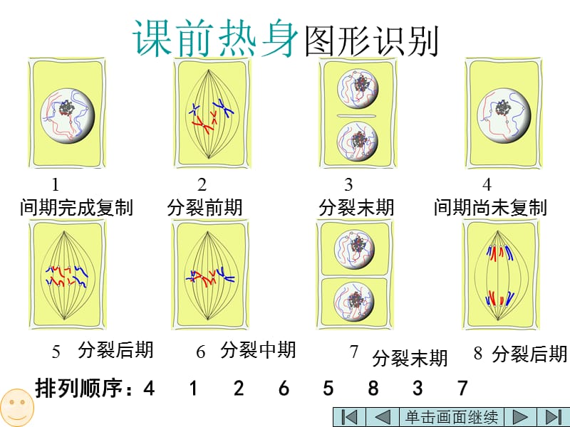 减数分裂与有性生殖细胞的形成ppt课件-精选文档.ppt_第2页