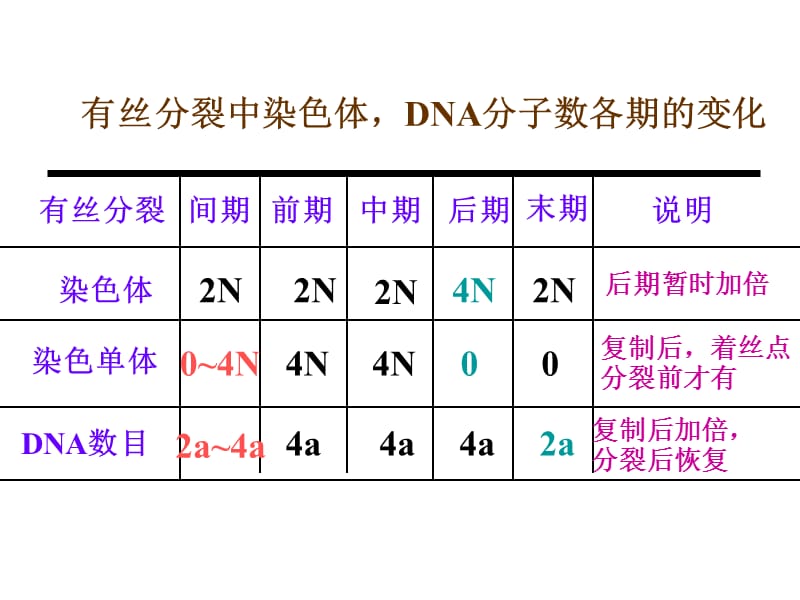 减数分裂与有性生殖细胞的形成ppt课件-精选文档.ppt_第3页