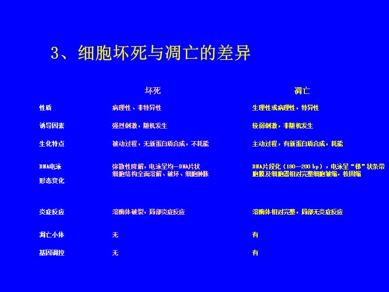 分子肿瘤学--细胞凋亡和肿瘤 -文档资料.ppt_第3页