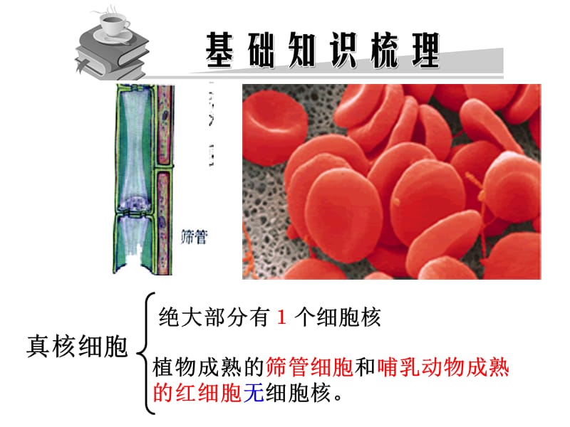 2018年第8讲细胞核--系统的控制中心-文档资料.ppt_第1页