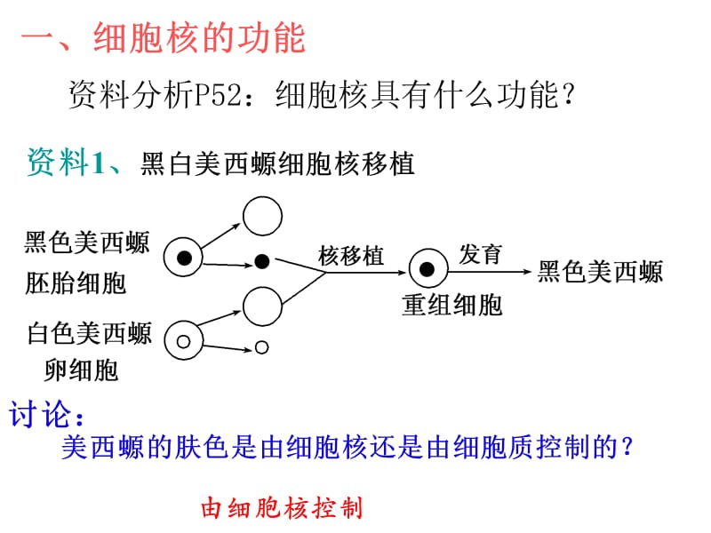 2018年第8讲细胞核--系统的控制中心-文档资料.ppt_第2页