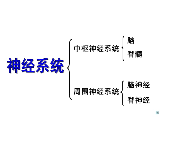 2018年通过神经系统调节-文档资料.ppt_第2页