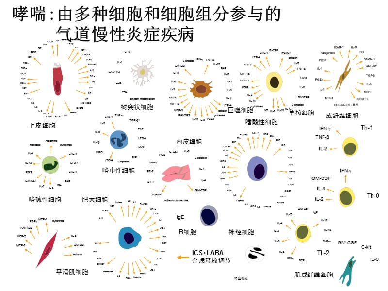 哮喘病情分期与严重程度分级-PPT文档.ppt_第3页