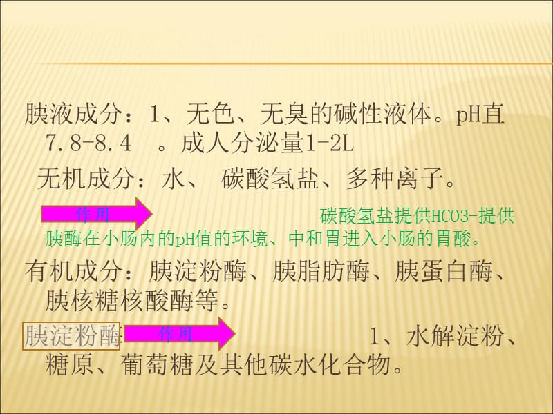 2018年胰腺的组织解剖-文档资料.ppt_第2页