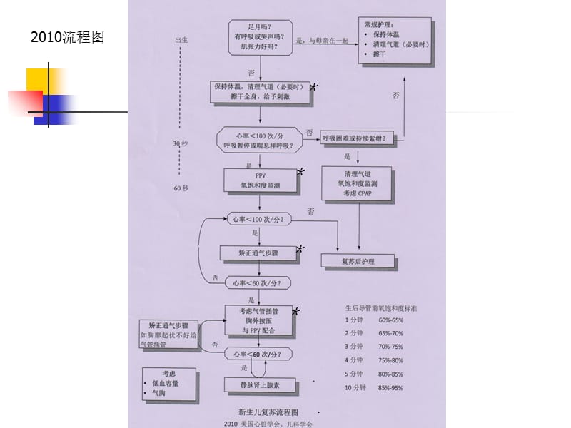 新生儿复苏操作培训PPT演示课件-精选文档.ppt_第1页