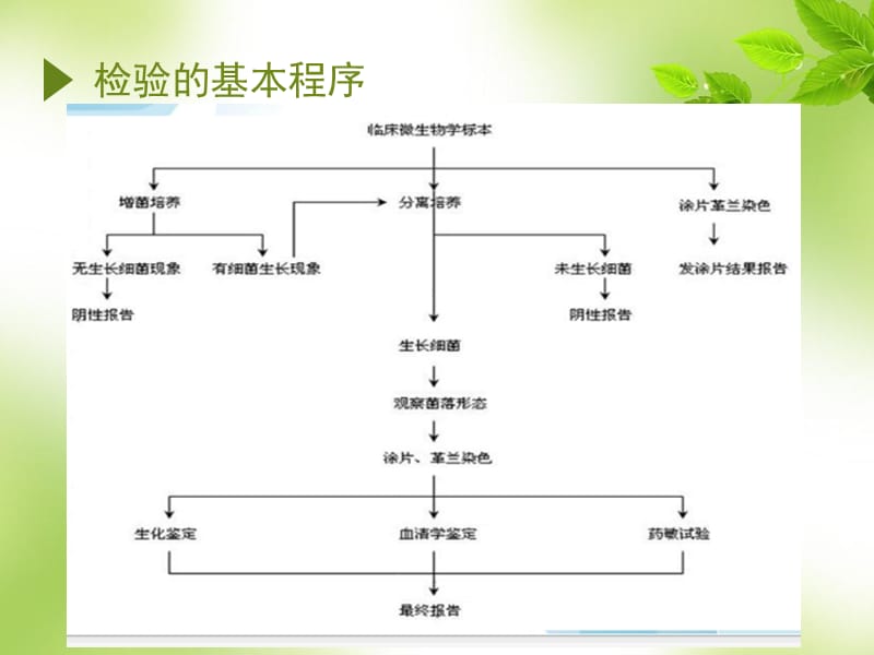 2018年第十八章临床标本的细菌学检验-文档资料.ppt_第3页