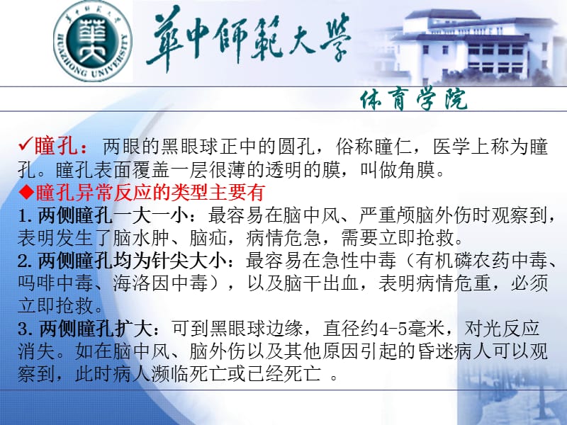 安全防护与急救处理教学PPT第二章 急救基本技术(1)-精选文档.ppt_第3页