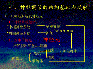 2-1通过神经系统的调节-文档资料.ppt