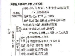 2011二轮细胞的物质基础-文档资料.ppt