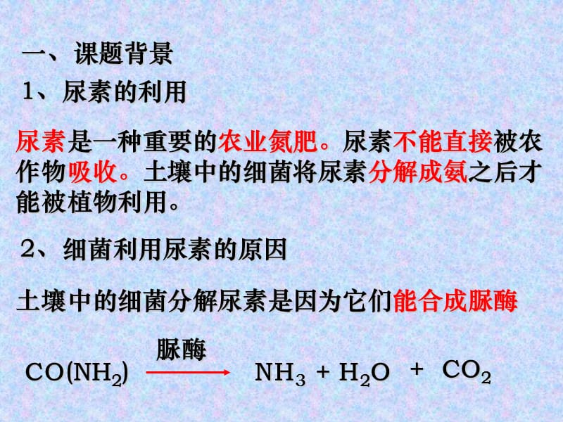 2013年高考生物总复习重点精品课件：土壤中分解尿素的细菌的分离与计数3人教版选修1-PPT课件.ppt_第1页