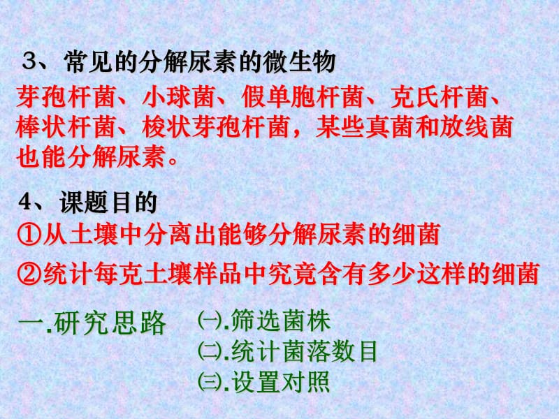 2013年高考生物总复习重点精品课件：土壤中分解尿素的细菌的分离与计数3人教版选修1-PPT课件.ppt_第2页