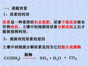 2013年高考生物总复习重点精品课件：土壤中分解尿素的细菌的分离与计数3人教版选修1-PPT课件.ppt