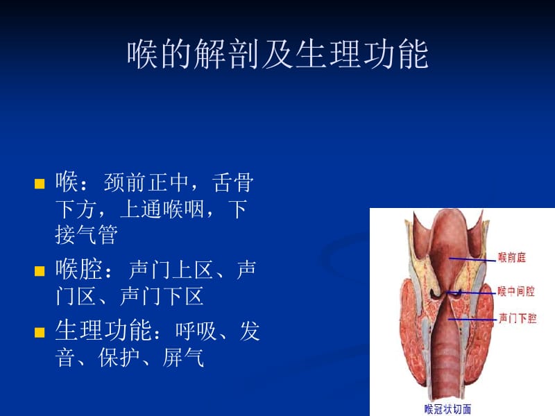 放射性咽喉损伤-PPT文档.ppt_第1页