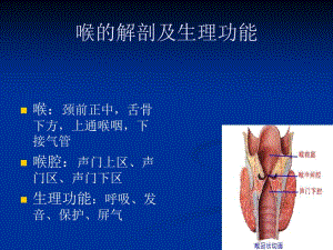 放射性咽喉损伤-PPT文档.ppt