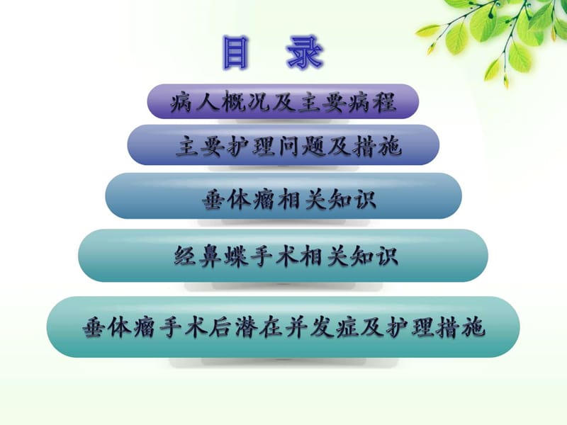 垂体瘤护理查房_基础医学_医药卫生_专业资料-精选文档.ppt_第1页