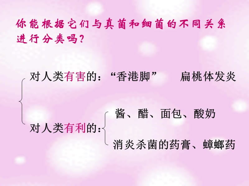 2018年八年级生物人教版上册第5单元第5章第二节人类对细菌和真菌的利用2-文档资料.ppt_第2页