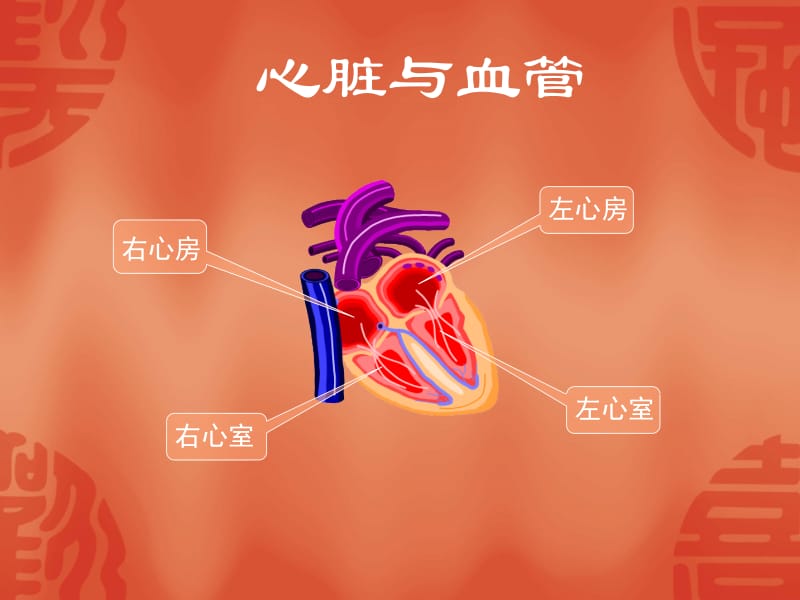 心脑血管疾病和预防-PPT文档.ppt_第2页