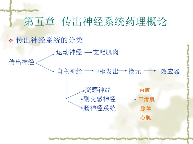 2018年外周神经系统药课件-文档资料.ppt_第1页