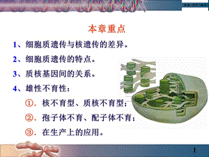 2018年10细胞质遗传-文档资料.ppt