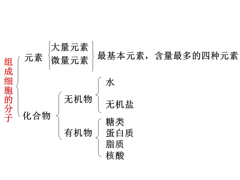 2018年复习分子与细胞-文档资料.ppt_第2页