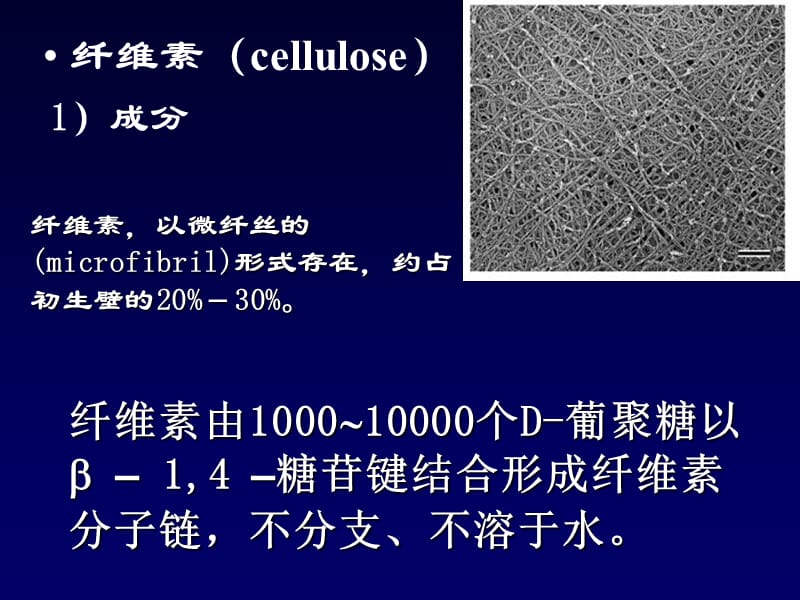 12第一章植物细胞-2-文档资料.ppt_第3页