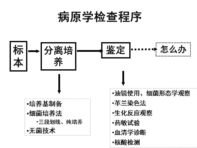 最新微生物学第7章细菌与病毒的微生物学检查20091106-PPT文档.ppt_第1页