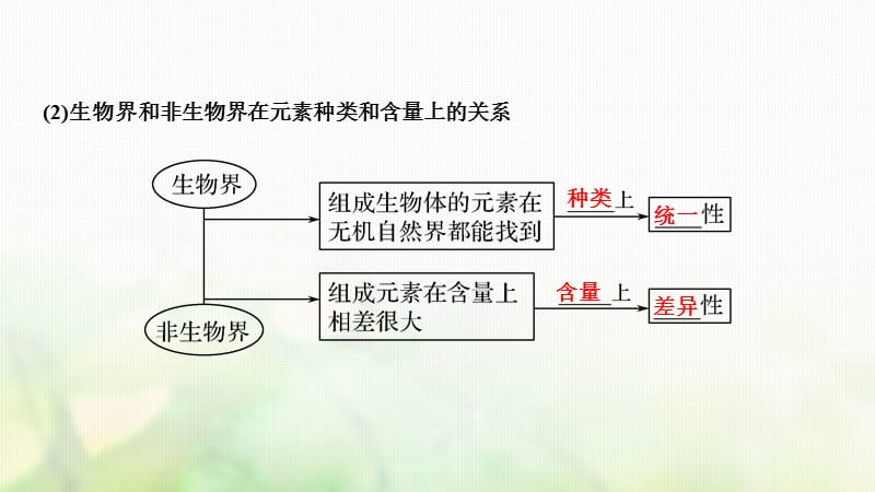 最新2018年2018届高考生物一轮复习第一单元组成细胞的分子第2讲细胞中的元素和化合物细胞中的无机物课件-文档资料.ppt_第2页