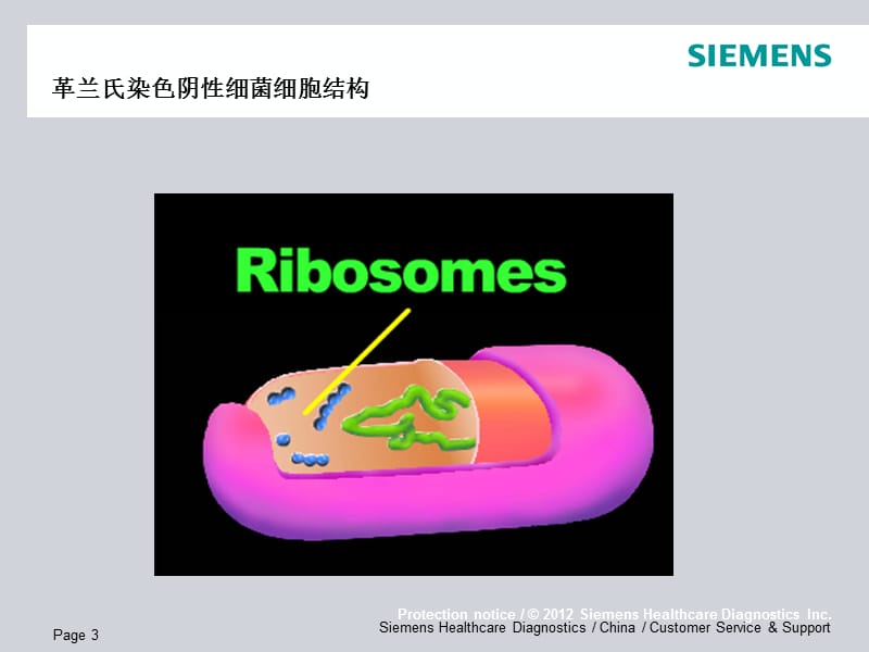 微生物药敏实验及合理使用抗生素-PPT文档.ppt_第3页